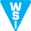 美国WSI电磁阀